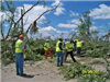Public Works Debris Cleanup