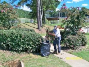 Ballpark Maintenance