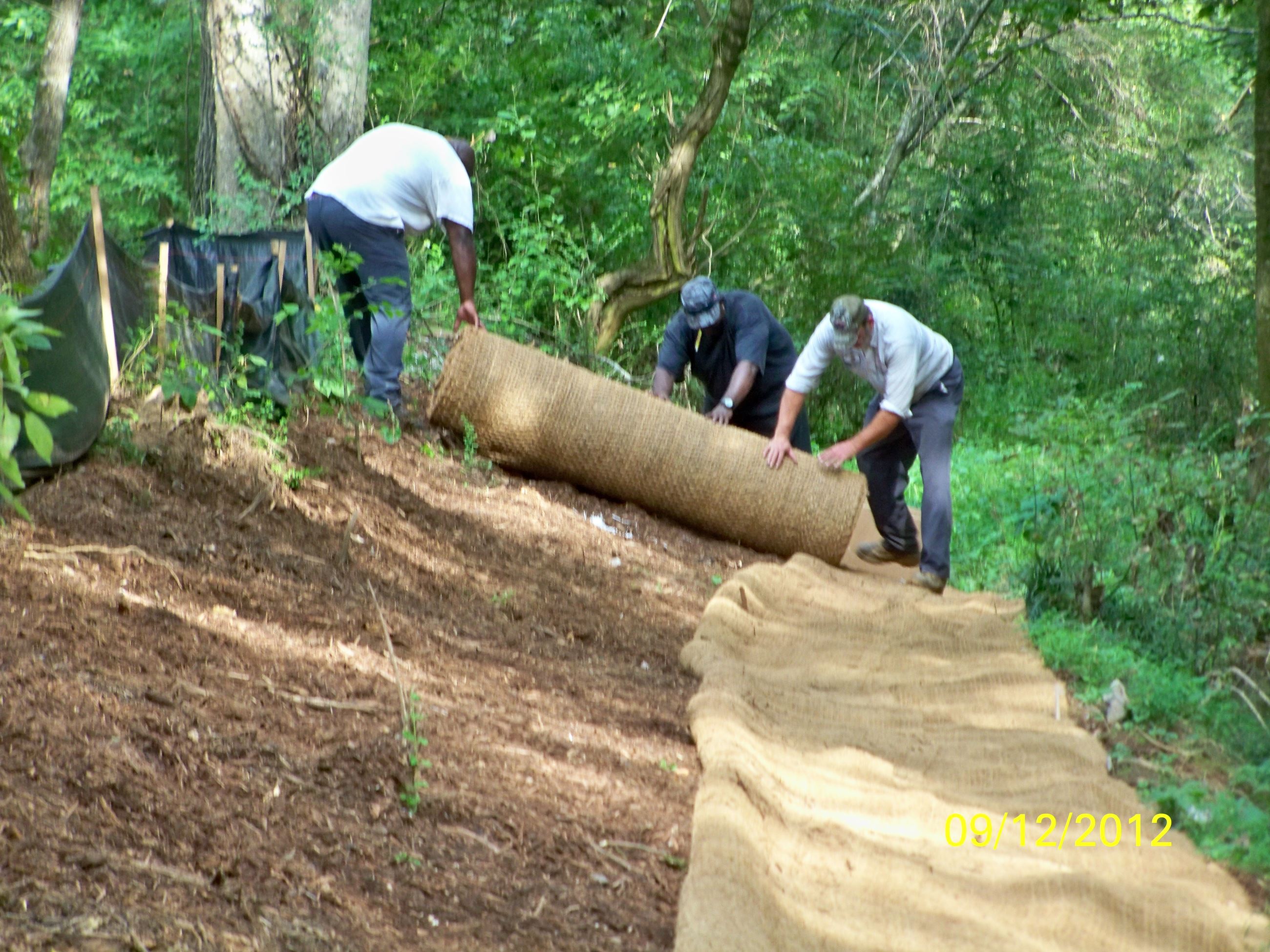 Creekbed Restoration