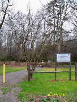 Reed Harvey Community Greenway Wetland Park