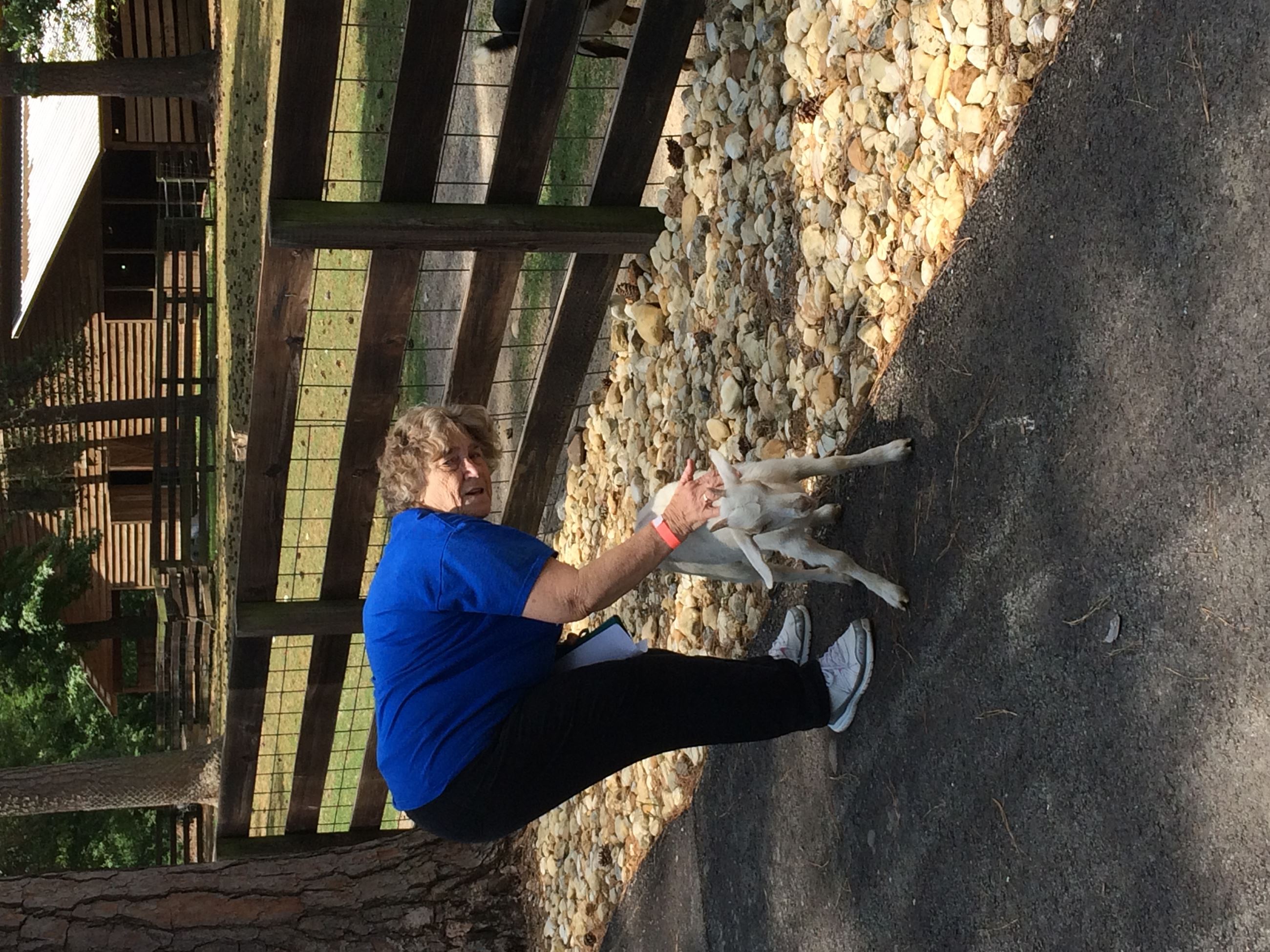 Petting a Goat